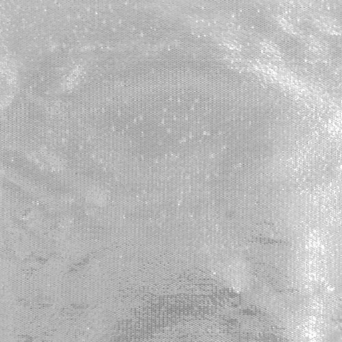 tissuetaffeta_011222956d_whitesilver